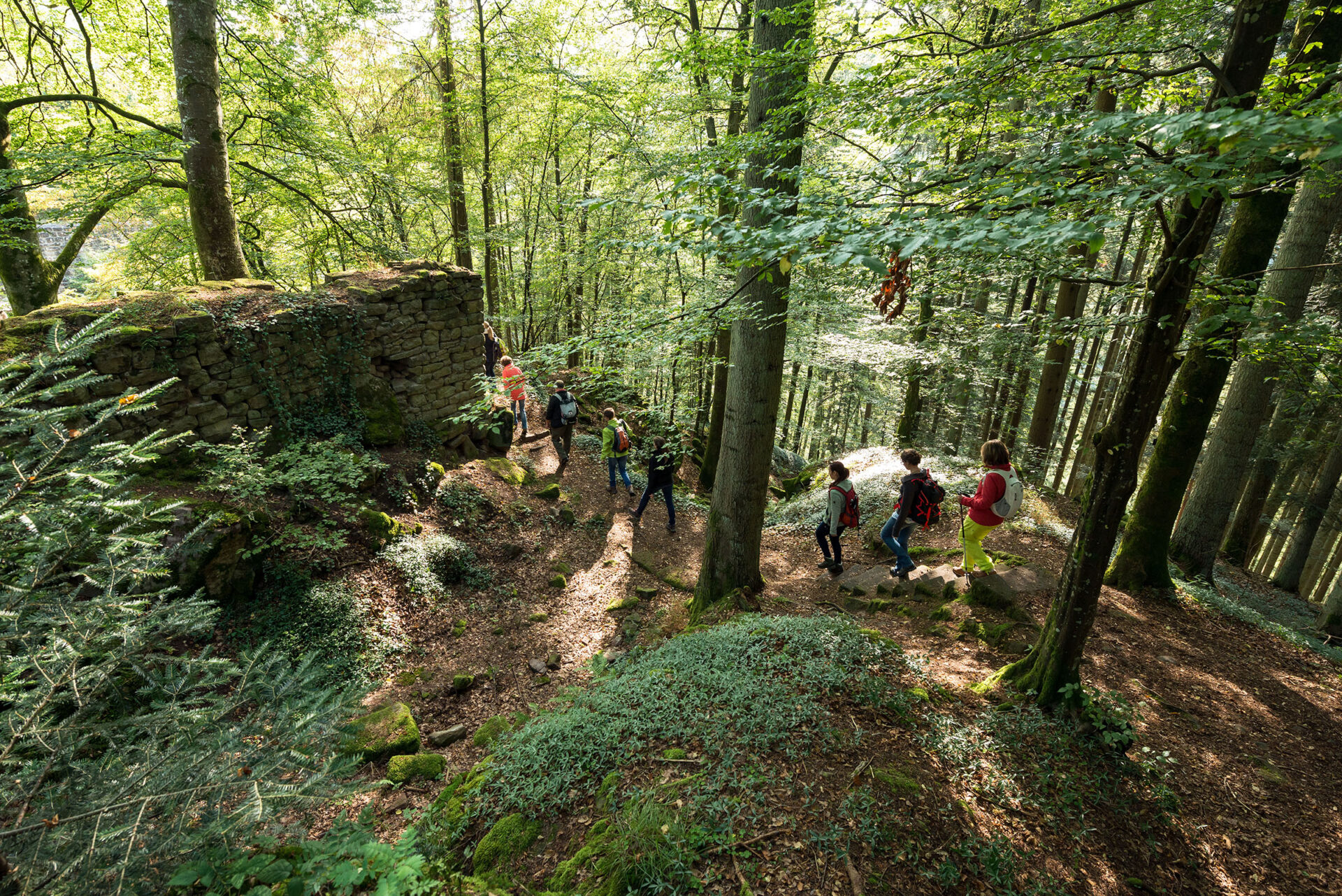 Bild: Die Schwarzwald-Guides im Naturpark Schwarzwald Mitte/Nord bieten ab dem 20. Juni wieder geführte Touren für Einheimische und Gäste an. Symbolfoto: Gerstner/compusign