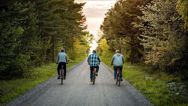 Zwei Räder und eine Insel im Herbst – Fahrradparadies Gotland